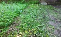 IMG_20220518_175026.jpg